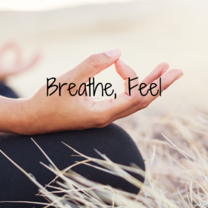 Breathe Feel - Meditation Audio